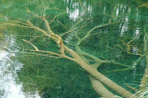 Plitvice Lakes: clear water