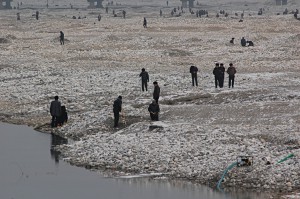 Jaderausch: Auf der Suche nach den wertvollen Steinen im Flussbett