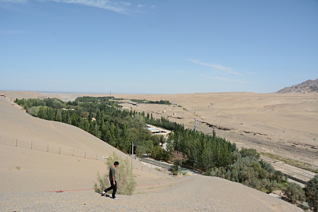 The oasis surrounding the Mogao caves with the nice olive-green gentleman