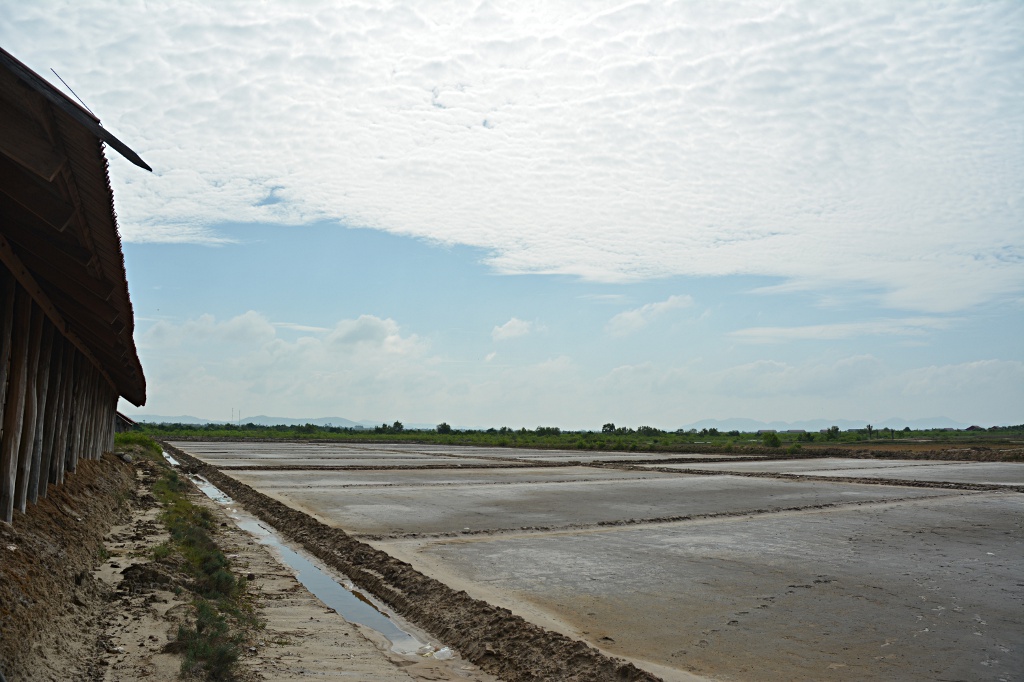The salt fields outside Kampot